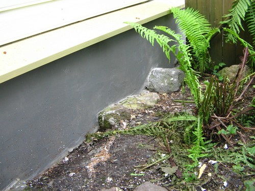 piipun hattu 027.JPG