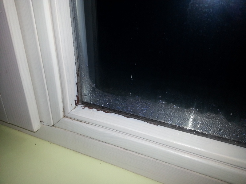 20121220_1742.jpg